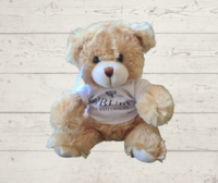 Bibury Teddy Bear