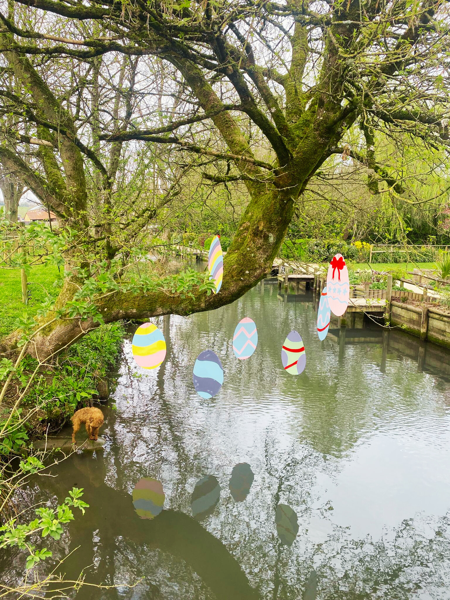 Easter Trail 2 Bibury Trout Farm