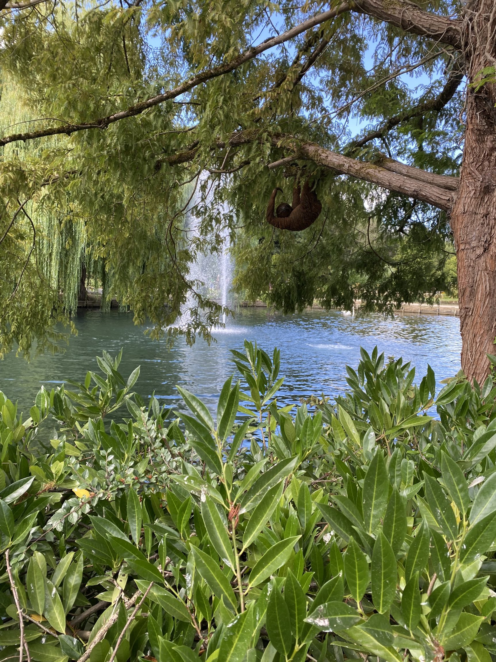 IMG_6223